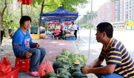佛山吃瓜爆料事件真相,揭秘背后真相，还原事件全貌